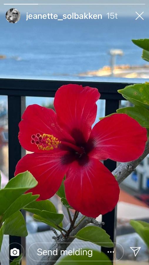 Candia Hotel Chania  ภายนอก รูปภาพ
